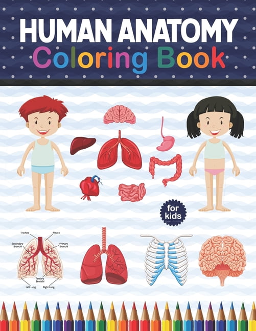 Human Anatomy Coloring Book For Kids: Human Body Anatomy Coloring Book ...