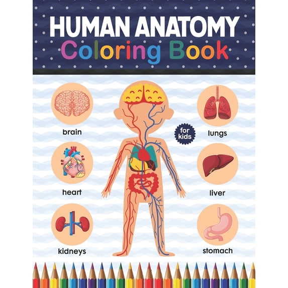 Human Anatomy Coloring Book For Kids: Human Body Anatomy Coloring Book For Kids, Boys and Girls and Medical Students. Huma Brain Heart Coloring Book. Human Body Student's Self-Test Coloring Book. Huma