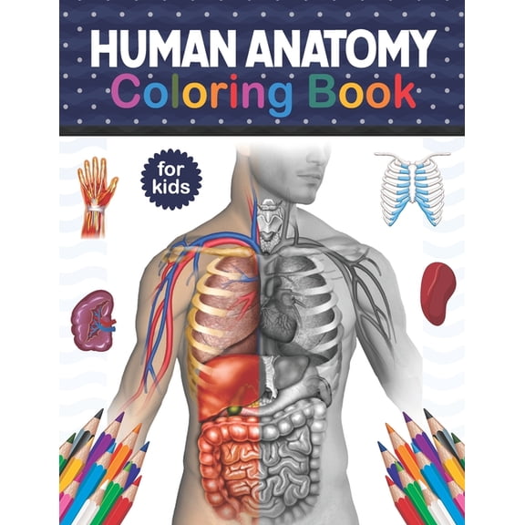 Human Anatomy Coloring Book For Kids: Human Body Anatomy Coloring Book For Kids, Boys and Girls and Medical Students. Human Brain Heart Liver Coloring Book. Anatomy Coloring Book for kids. Human Figur