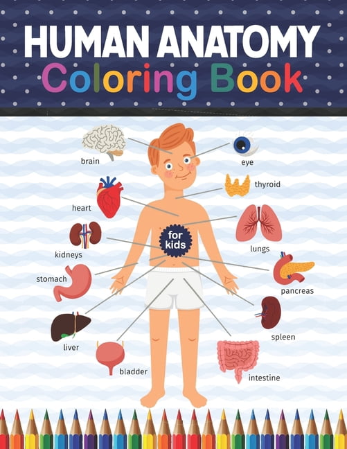 Human Anatomy Coloring Book For Kids: Human Body coloring & activity ...
