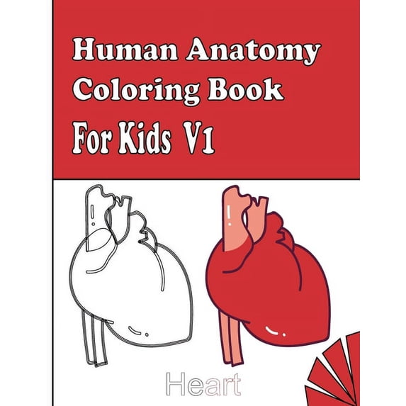Human Anatomy Coloring Book for Kids V1: human body activity book for ...