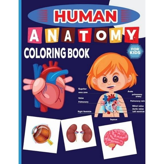 Human Anatomy Coloring Book For Kids: human anatomy for drawing flashcards coloring book for toddlers A visual analogy study guide coloring workbook Great Gift for Boys & girls the good and the beauti