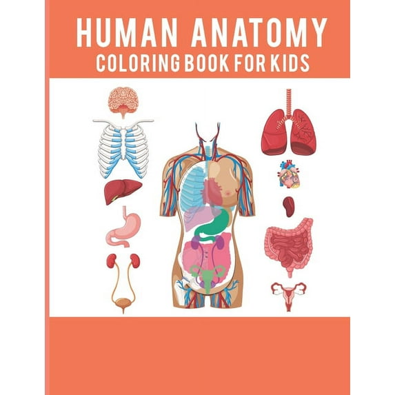 Human Anatomy Coloring Book For Kids: The ultimate anatomy coloring book to really learn anatomy effectively For student, (Paperback)