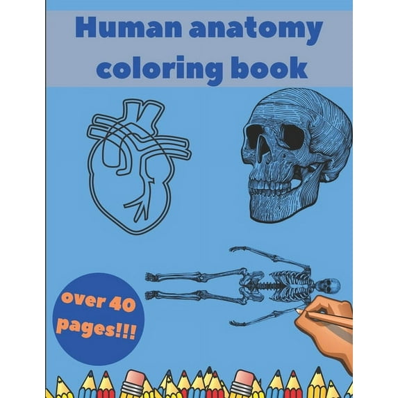 Human Anatomy Coloring Book: Learning For Kids Beginner Knowledge Inside Body Model Muscles Nerves Bones, (Paperback)