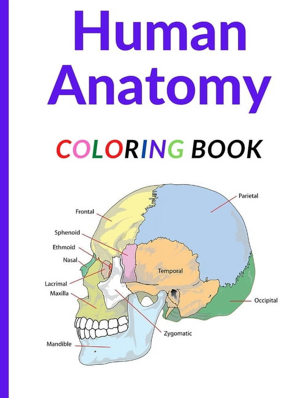 Human Anatomy Coloring Book: Ultimate human body anatomy activity book ...