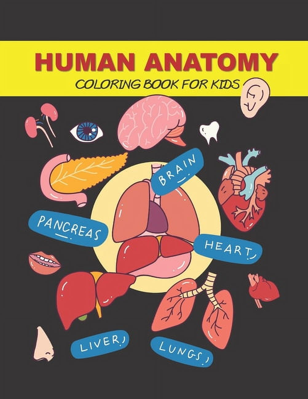 Human Anatomy Coloring Book for Kids: Human Body Activity Book (Paperback) - Walmart.com