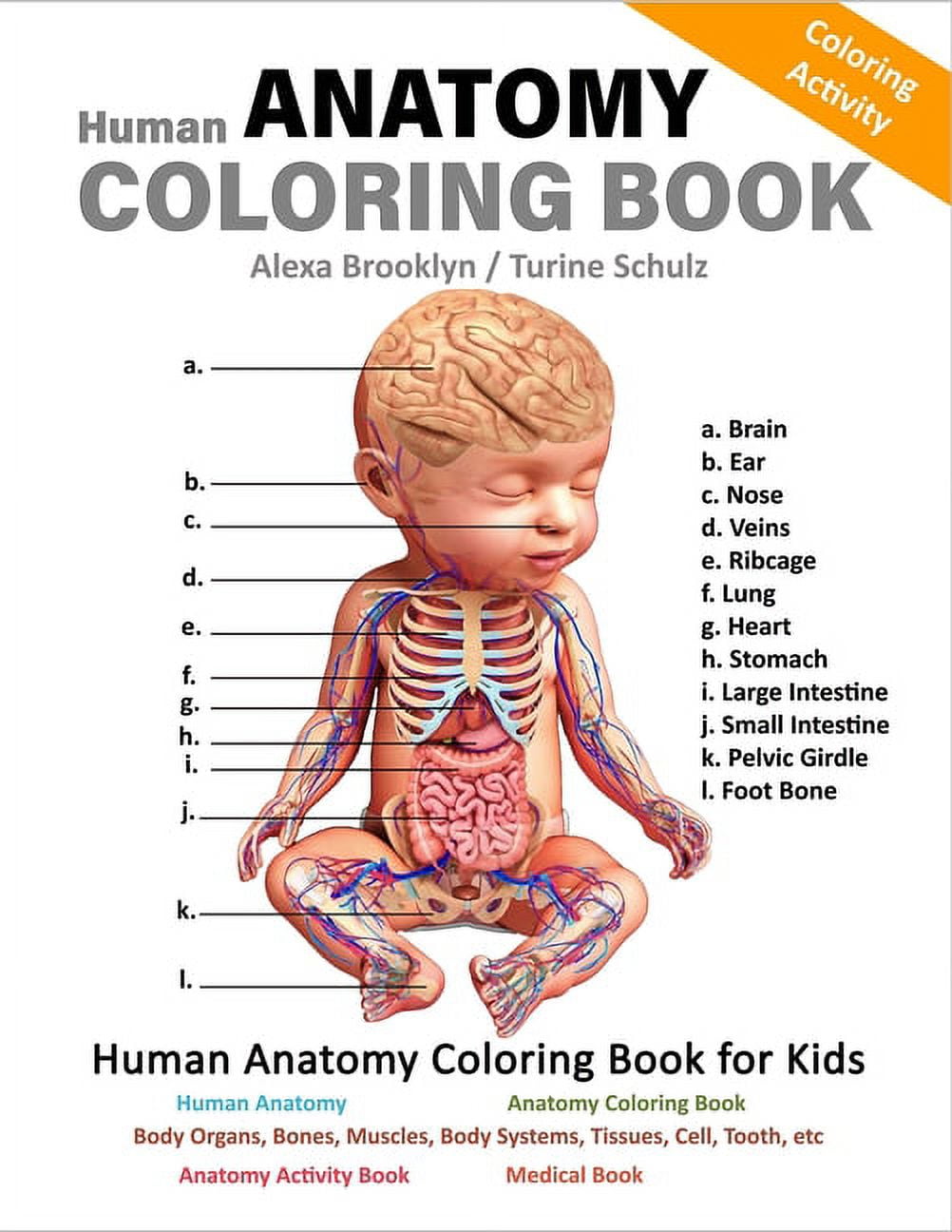 BEST VALUE My First Anatomy Coloring Book Educational Human Anatomy  Printable Activity Book for Preschools and Toddlers Instant Download 