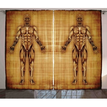 Ambesonne Anatomy Curtains 2 Panel Set, Human Body Style, 108" x 84", Pale Brown