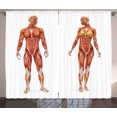 thumbnail image 1 of Ambesonne Anatomy Curtains 2 Panel Set, Male Human Body, 108" x 90", Coral, 1 of 3