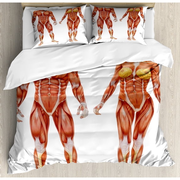 Human Anatomy Duvet Cover Set, Male and Female Bodies with Inner Mass Build Display Muscle System Graphic Print, Decorative 3 Piece Bedding Set with 2 Pillow Shams, Queen Size, Coral, by Ambesonne