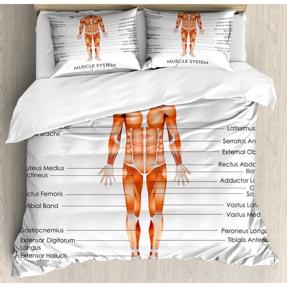 Human Anatomy Duvet Cover Set, Muscle System Diagram of Man Body Features Biological Elements Scheme Image, Decorative 3 Piece Bedding Set with 2 Pillow Shams, Queen Size, Coral, by Ambesonne