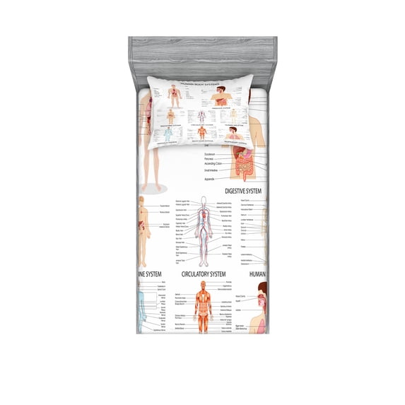 Human Anatomy Fitted Sheet & Pillow Sham Set, Chart of Organs Body Structures Biology Themed Cartoon Schemes, Decorative Printed 4 Piece Bedding Decor Set, Twin, White and Multicolor, by Ambesonne