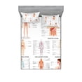 thumbnail image 1 of Human Anatomy Fitted Sheet & Pillow Sham Set, Chart of Organs Body Structures Biology Themed Cartoon Schemes, Decorative Printed 6 Piece Bedding Decor Set, Queen, White and Multicolor, by Ambesonne, 1 of 3