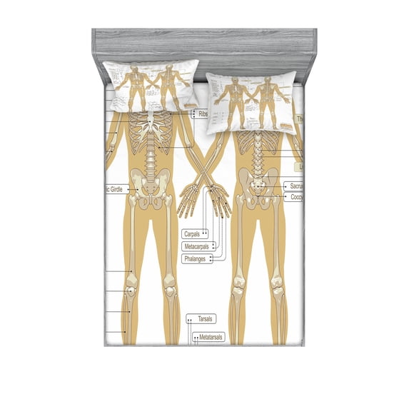 Human Anatomy Fitted Sheet & Pillow Sham Set, Diagram of Skeleton System Titled Main Parts of Body Joints Picture, Decorative Printed 6 Piece Bedding Decor Set, Calking, White Tan, by Ambesonne