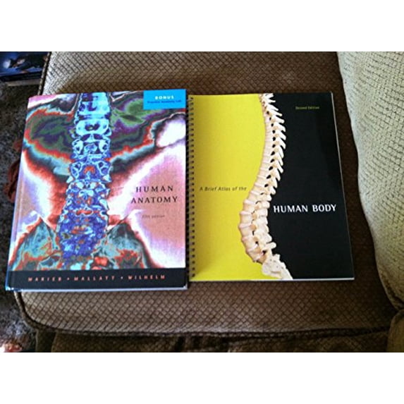 Pre-Owned Human Anatomy (Hardcover) 0805347895 9780805347890