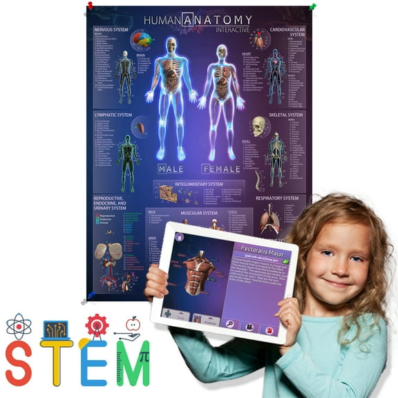 Human Anatomy Interactive Smart Chart With 4D Educational App (Large)