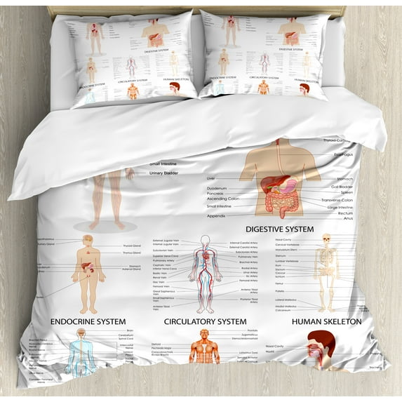 Human Anatomy King Size Duvet Cover Set, Complete Chart of Different Organ Body Structures Cell Life Medical Illustration, Decorative 3 Piece Bedding Set with 2 Pillow Shams, Multi, by Ambesonne