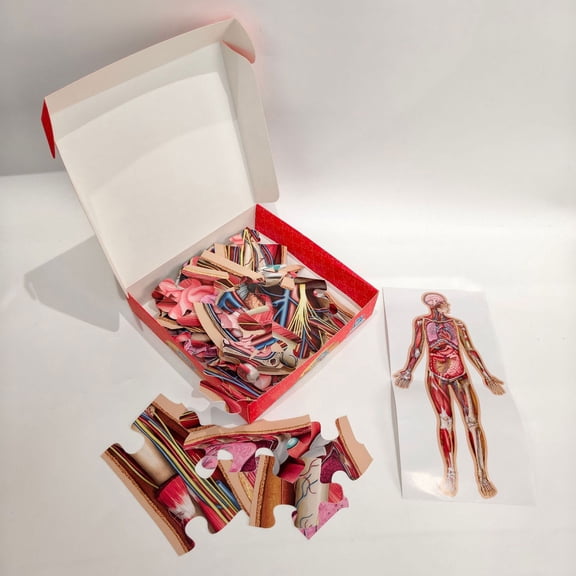 Human Anatomy Learning Puzzle, 6FT Life Size Human Body Floor Interactive Anatomy Model, Science Educational Jigsaw Puzzle for Kids Children Classroom Learning