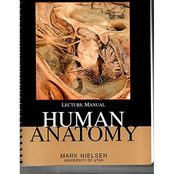 Pre-Owned Human Anatomy Lecture Manual 6th Edition (University of Utah Custom) 9781792486425 Paperback