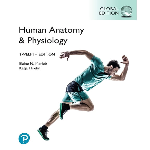 Human Anatomy & Physiology, Global Edition