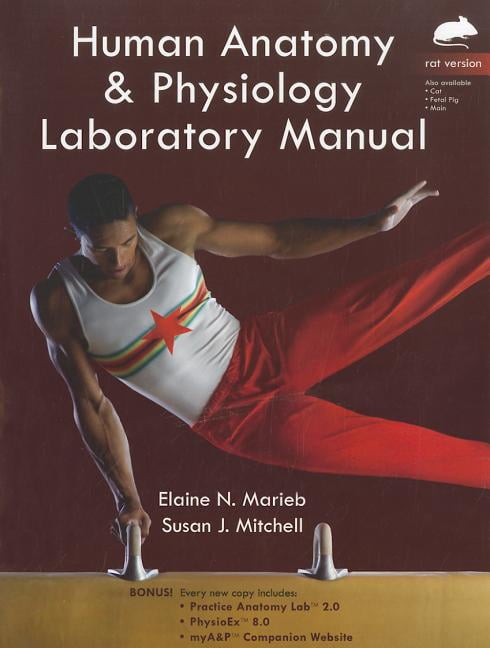 Human Anatomy & Physiology Laboratory Manual: Rat Version (Other) - Walmart.com