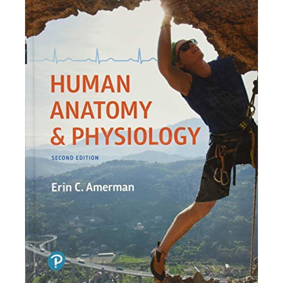 Pre-Owned Human Anatomy & Physiology (Hardcover) 0134553519 9780134553511