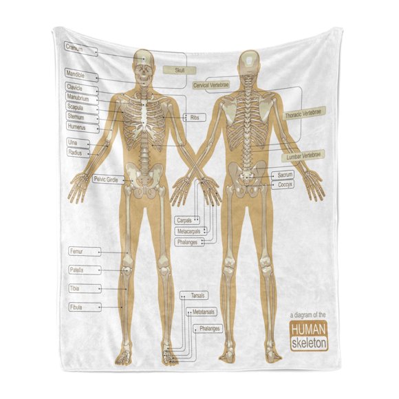 Parts Body Diagram