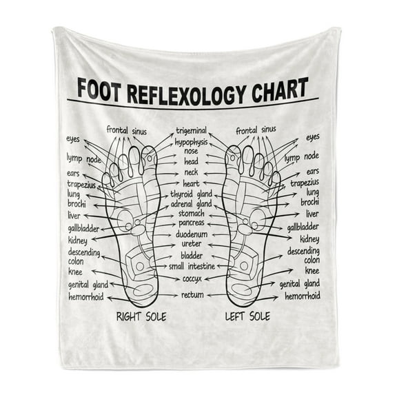 Human Anatomy Soft Flannel Fleece Blanket, Foot Reflexology Chart Right and Left Sole Ped Walking Organ Print, Cozy Plush for Indoor and Outdoor Use, 50" x 70", Charcoal Grey Ivory, by Ambesonne