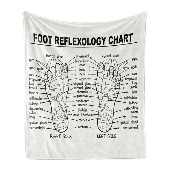 Human Anatomy Soft Flannel Fleece Blanket, Foot Reflexology Chart Right and Left Sole Ped Walking Organ Print, Cozy Plush for Indoor and Outdoor Use, 60" x 80", Charcoal Grey Ivory, by Ambesonne