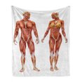thumbnail image 1 of Human Anatomy Soft Flannel Fleece Blanket, Male and Female Bodies with Inner Mass Build Display Muscle System Graphic Print, Cozy Plush for Indoor and Outdoor Use, 50" x 70", Coral, by Ambesonne, 1 of 6
