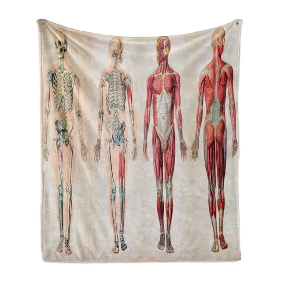 Human Anatomy Soft Flannel Fleece Blanket, Vintage Chart of Body Front Back Skeleton and Muscle System Bone Mass Graphic, Cozy Plush for Indoor and Outdoor Use, 60" x 80", Ruby Cream, by Ambesonne