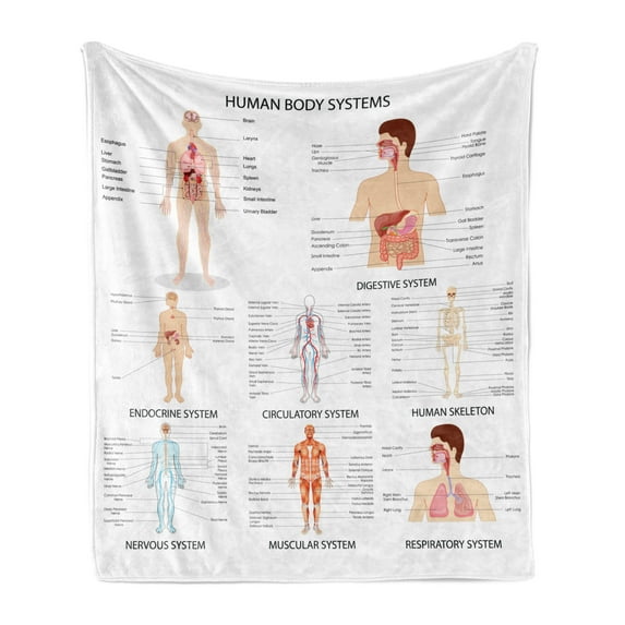 Human Anatomy Soft Flannel Fleece Throw Blanket, Complete Chart Different Organ Body Structures Cell Life Illustration, Cozy Plush for Indoor and Outdoor Use, 50" x 70", Multicolor, by Ambesonne