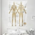 thumbnail image 1 of Human Anatomy Tapestry, Diagram of Human Skeleton System with Titled Main Parts of Body Joints Picture, Wall Hanging for Bedroom Living Room Dorm Decor, 60W X 80L Inches, White Tan, by Ambesonne, 1 of 2