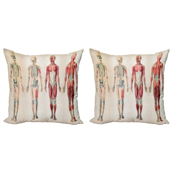 Ambesonne Vintage Throw Pillow Cover 2 Pack, Anatomy Human Body, 16", Ruby Cream