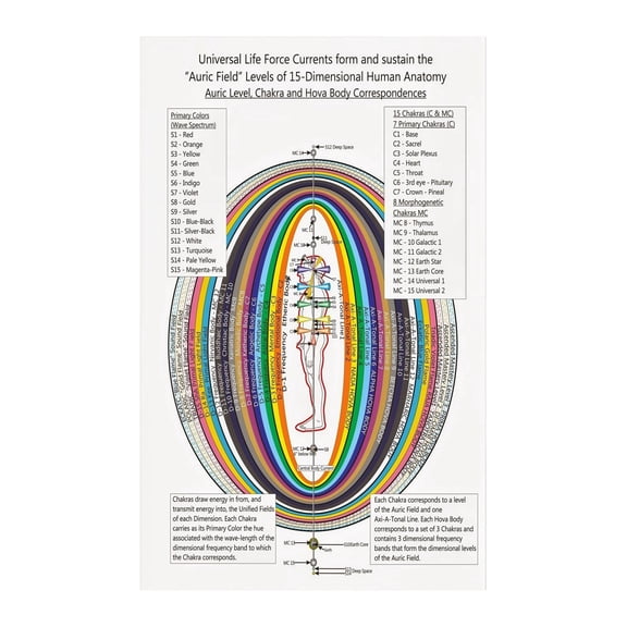Human Anatomy and Chakra System Poster Integrative Energy Chart on Canvas Educational Wall Art for Yoga Studio Reiki Room and Holistic Center