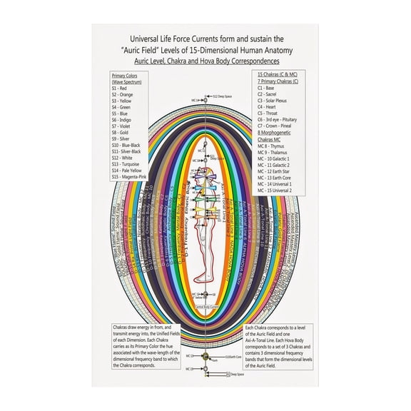 Human Anatomy and Chakra System Poster Integrative Energy Chart on Canvas Educational Wall Art for Yoga Studio Reiki Room and Holistic Center