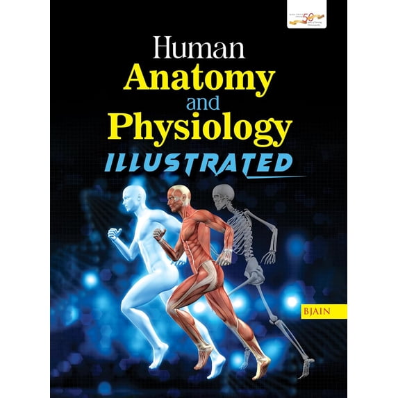 Human Anatomy and Physiology Illustrated (English Version)