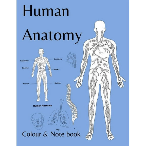 Human Anatomy colour and note book : for students, kids and anyone who likes to colour (Paperback)