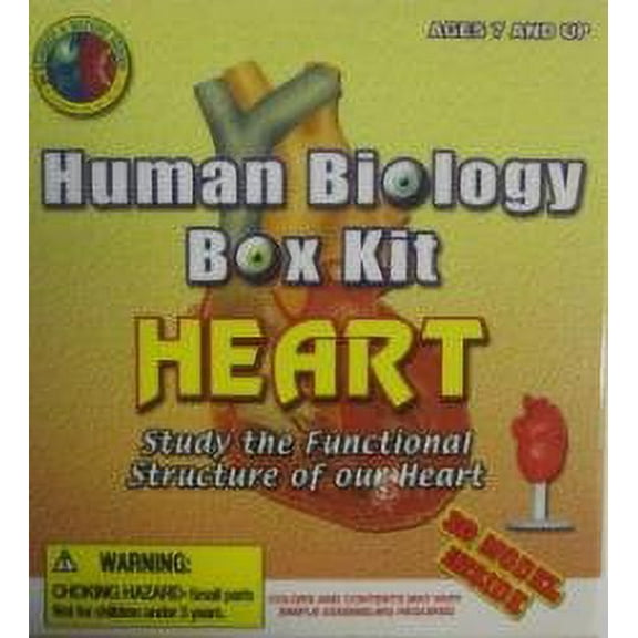 Human Biology Kit - HEART by CARLISLE