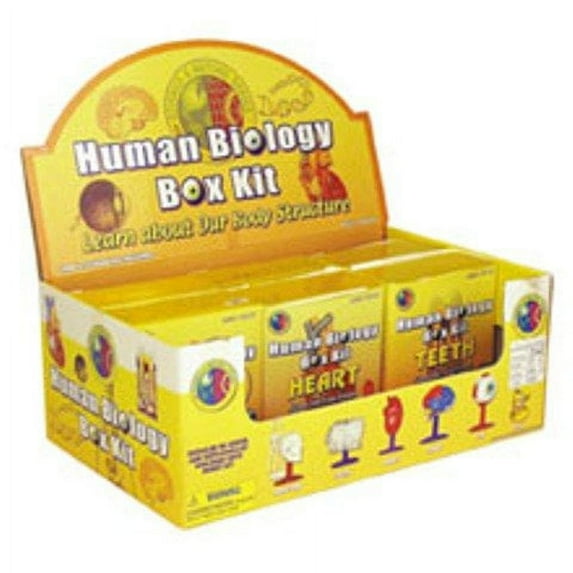 Human Biology Teeth Kit