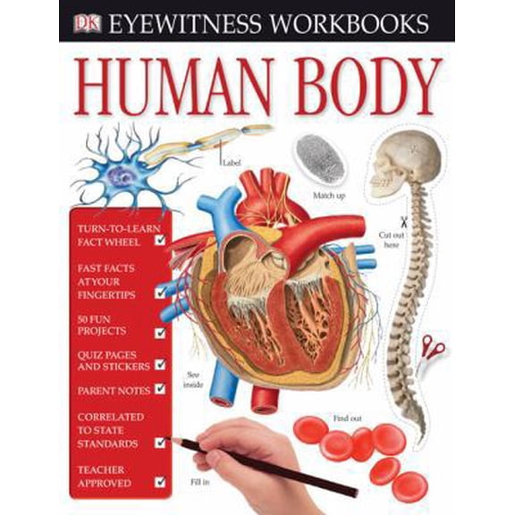 Pre-Owned Human Body Workbook [With Stickers] (Paperback) 0756630339 9780756630331
