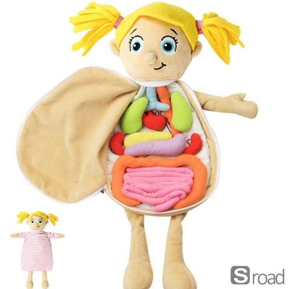 Human Body Anatomy Plush Toy – Soft Educational Doll With Removable Organs, Medical Learning Toy For Kids (Heart, Lungs, Stomach) – Preschool Science Classroom Aid