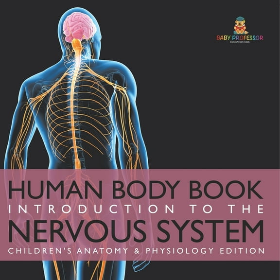 Human Body Book Introduction to the Nervous System Children's Anatomy & Physiology Edition, (Paperback)