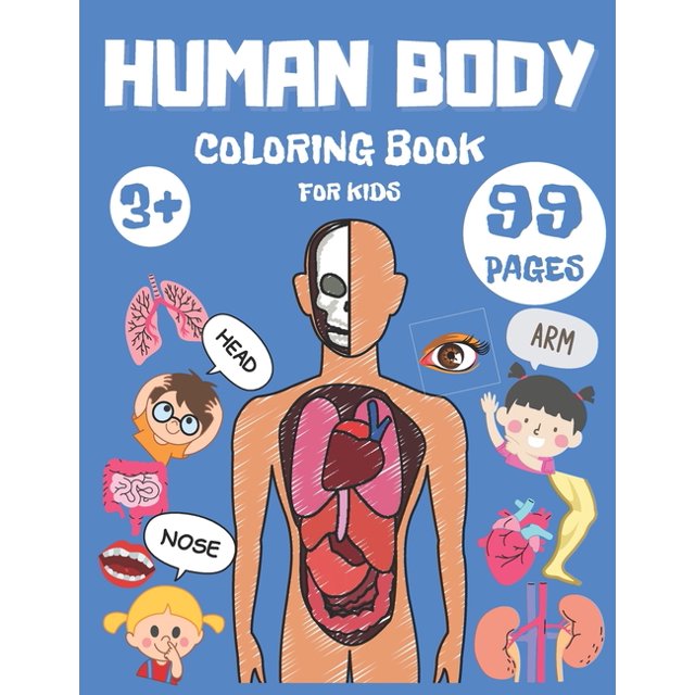 Human Body Coloring Book For Kids Leraning Activity Anatomy Study