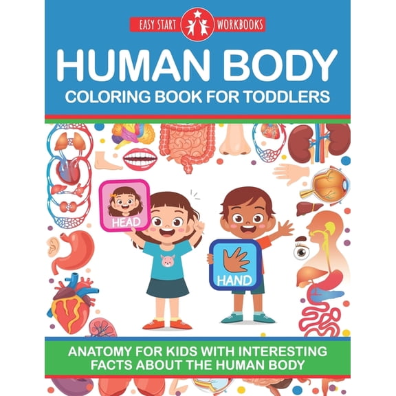 Human Body Coloring Book For Toddlers: Anatomy For Kids With Interesting Facts About The Human Body (Paperback) by Easy Start Workbooks