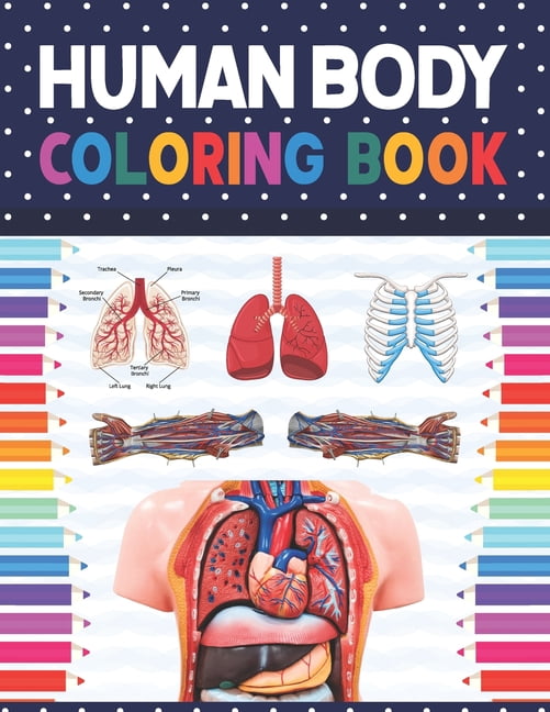 Human Body Coloring Book: Human Body Anatomy Coloring Book For Kids ...