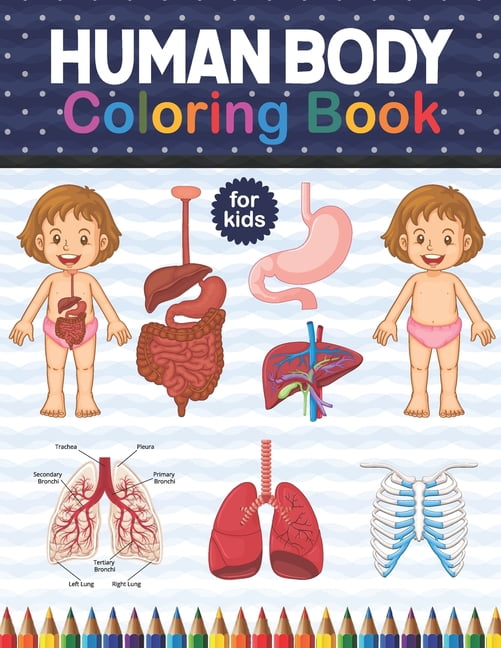 Human Body Coloring Book For Kids: Human Body Anatomy Coloring Book For ...