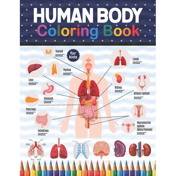Human Body Coloring Book For Kids : Human Body Anatomy Coloring Book For Kids, Boys and Girls and Medical Students. Human Brain Heart Liver Coloring Book. Human Body Student's Self-Test Coloring Book.Physiology Muscles, Bones, Skeleton Student Anatomy Book (Paperback)