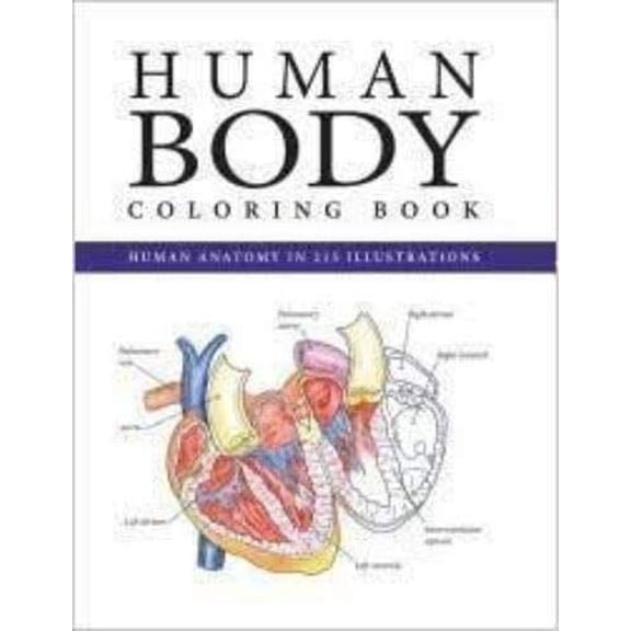 Pre-Owned Human Body Coloring Book by Metro Books (Paperback), English
