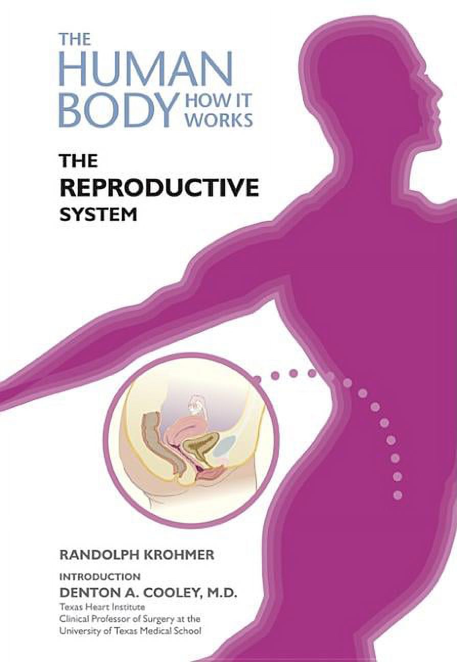 Human Body: How It Works The Reproductive System, (Hardcover) - Walmart.com